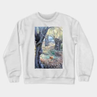 Babe in the Woods Crewneck Sweatshirt